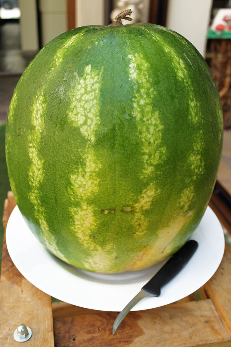 Scolpire la frutta come una statua di Boccioni