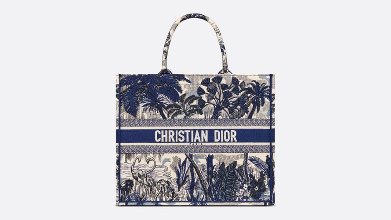 Bag Dior book Tote: la borsa preferita dai vip | Life\u0026People Magazine