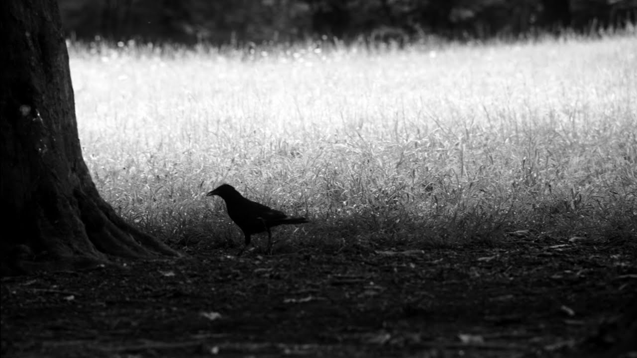 john galliano collezione margiela Life&People Magazine LifeandPeople.it