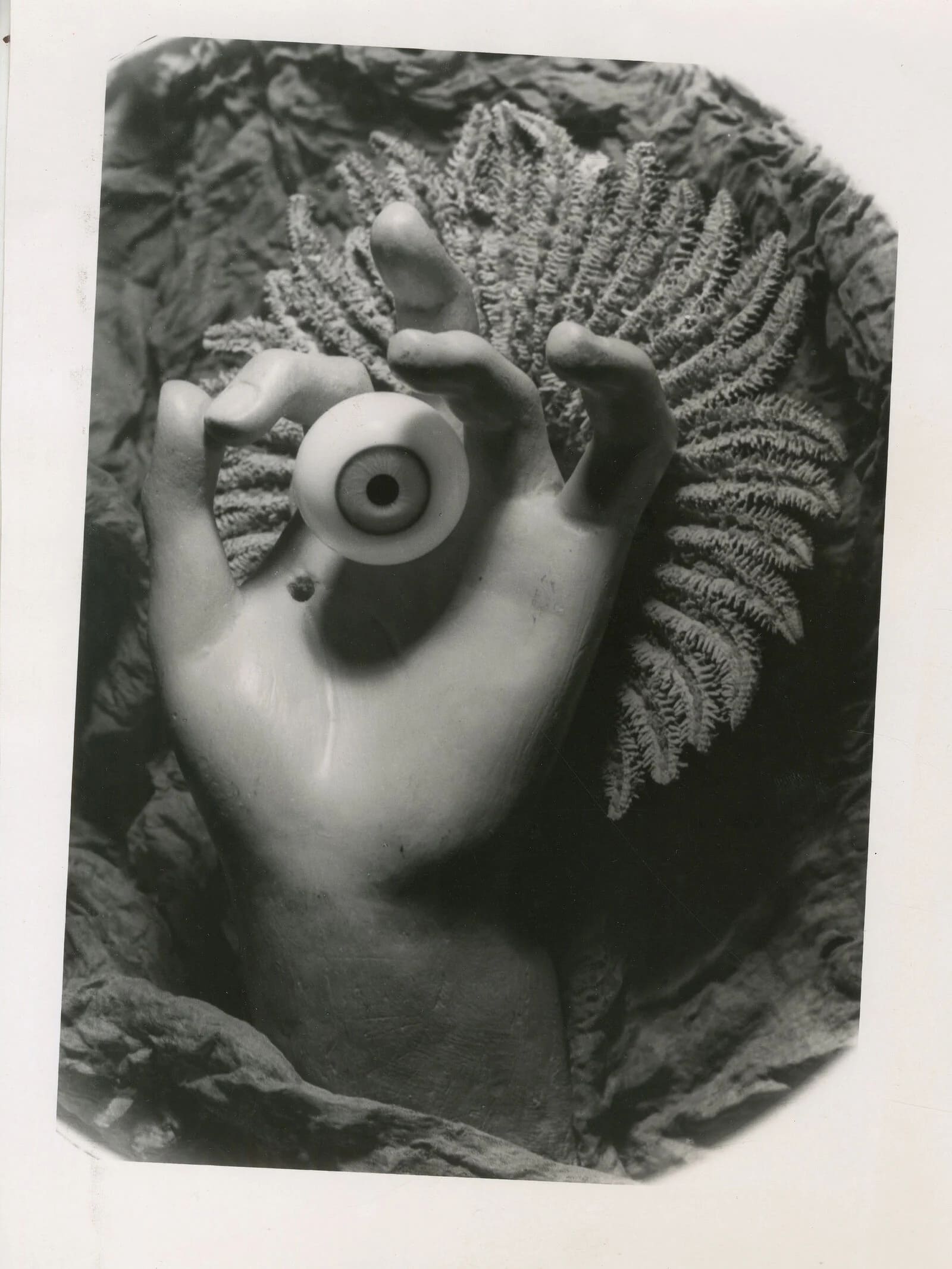 Mostre fotografiche - Centenario surrealista Loewe | Life&People Magazine