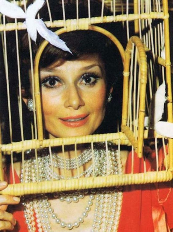 Festa Memorabile | Life & Magazine Magazine di moda